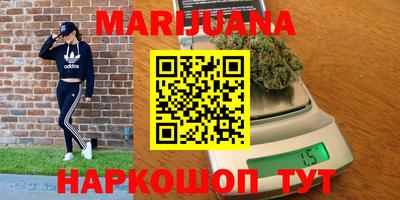 прущие грибы Моздок