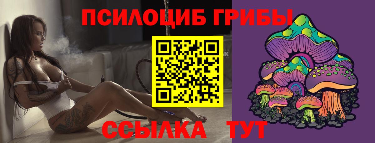 продажа наркотиков  Псилоцибиновые грибы мицелий  Галлюциногенные грибы Psilocybe  Вход с VPN  Северск 